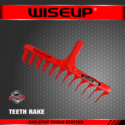 مشط ارض 14اصبع